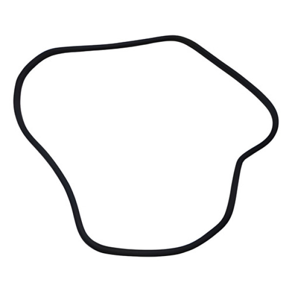 Borracha Vedação Dianteira Direita Fiat Argo 1.0 2020 A 2022 Preto