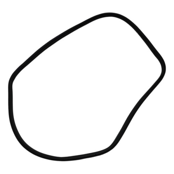 Borracha Vedação Porta Diant Esq Byd Dolphin Mini 2024/2025 Preto