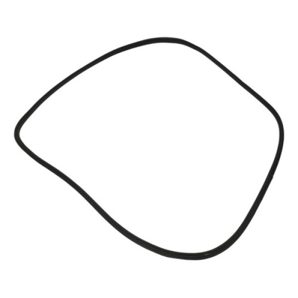 Borracha Vedação Diant Esq Renault Fluence 2.0 2011 A 2017 Preto