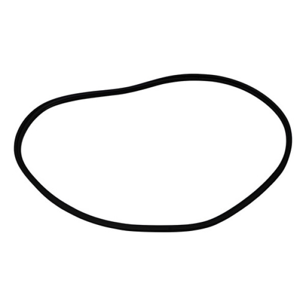 Borracha Vedação Porta Tras Esq Byd Mini Dolphin 2024/2025 Preto