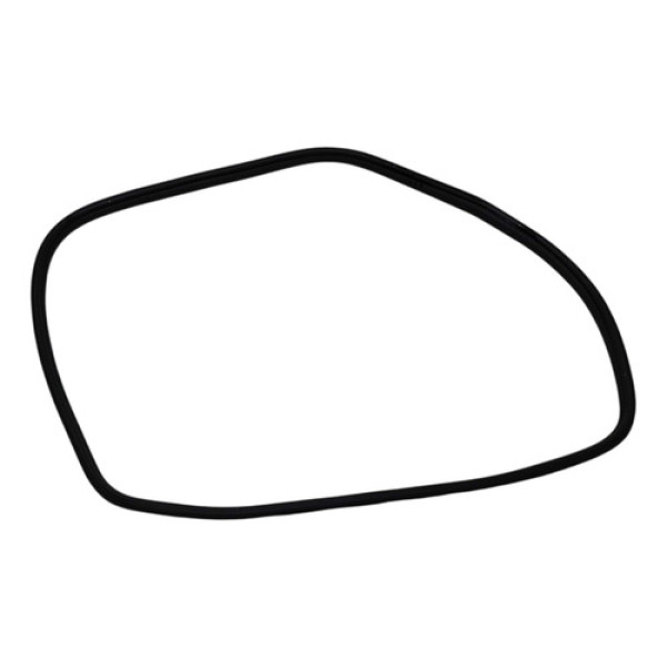 Borracha Vedação Porta Diant Dir Byd Dolphin Mini 2024/2025 Preto